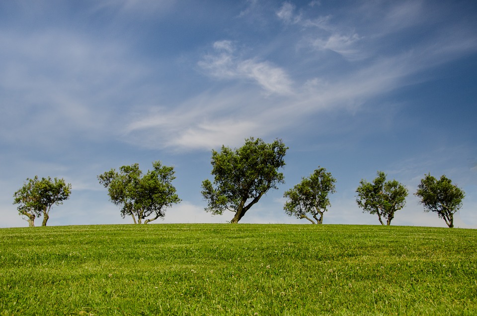 Notre politique respectueuse de l’environnement