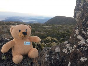 Les aventures épiques d'Adam&nbsp;! Ça commence….